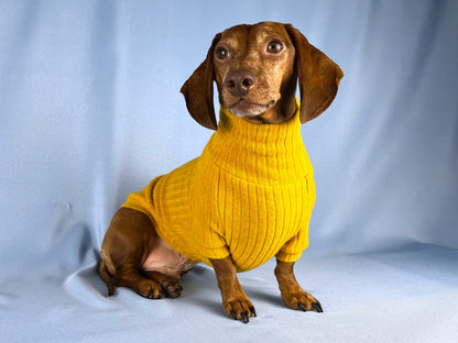 Saffron Paella Dachshund Sweater