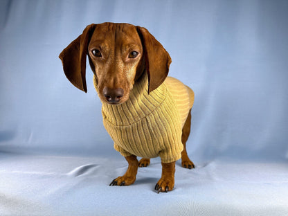 Bread Pudding Dachshund Sweater - The American Wiener