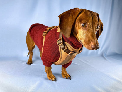 Cafe au Lait Dachshund Walk Set - The American Wiener