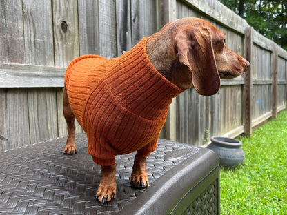 Classic Marinara Dachshund Sweater - The American Wiener