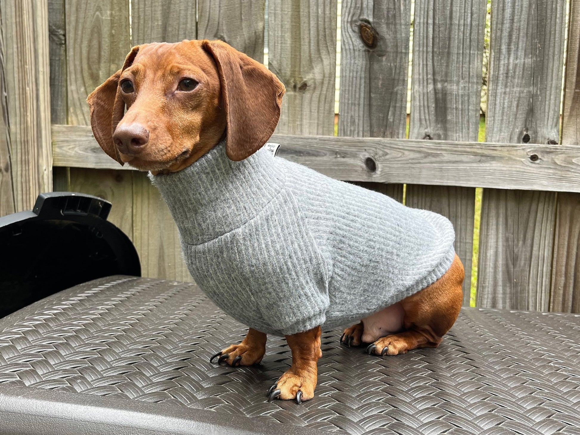 Coal Candy Dachshund Sweater - The American Wiener