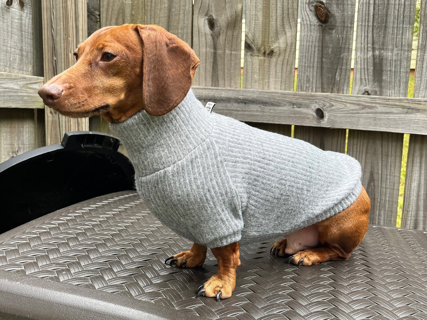 Coal Candy Dachshund Sweater - The American Wiener