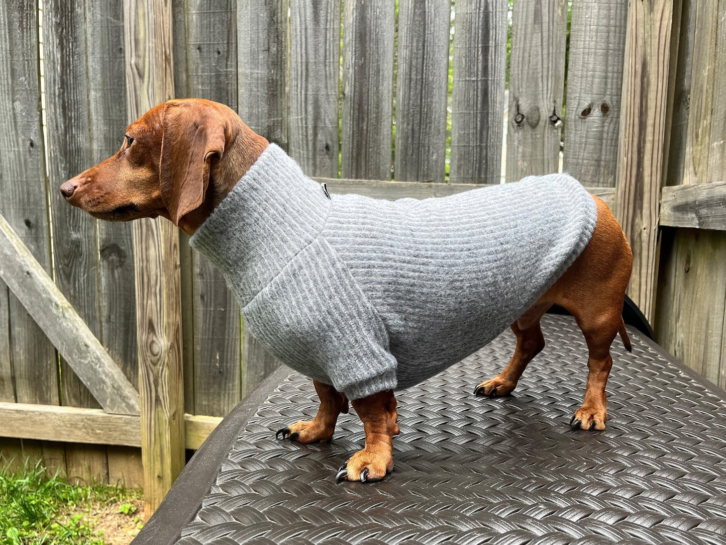 Coal Candy Dachshund Sweater - The American Wiener