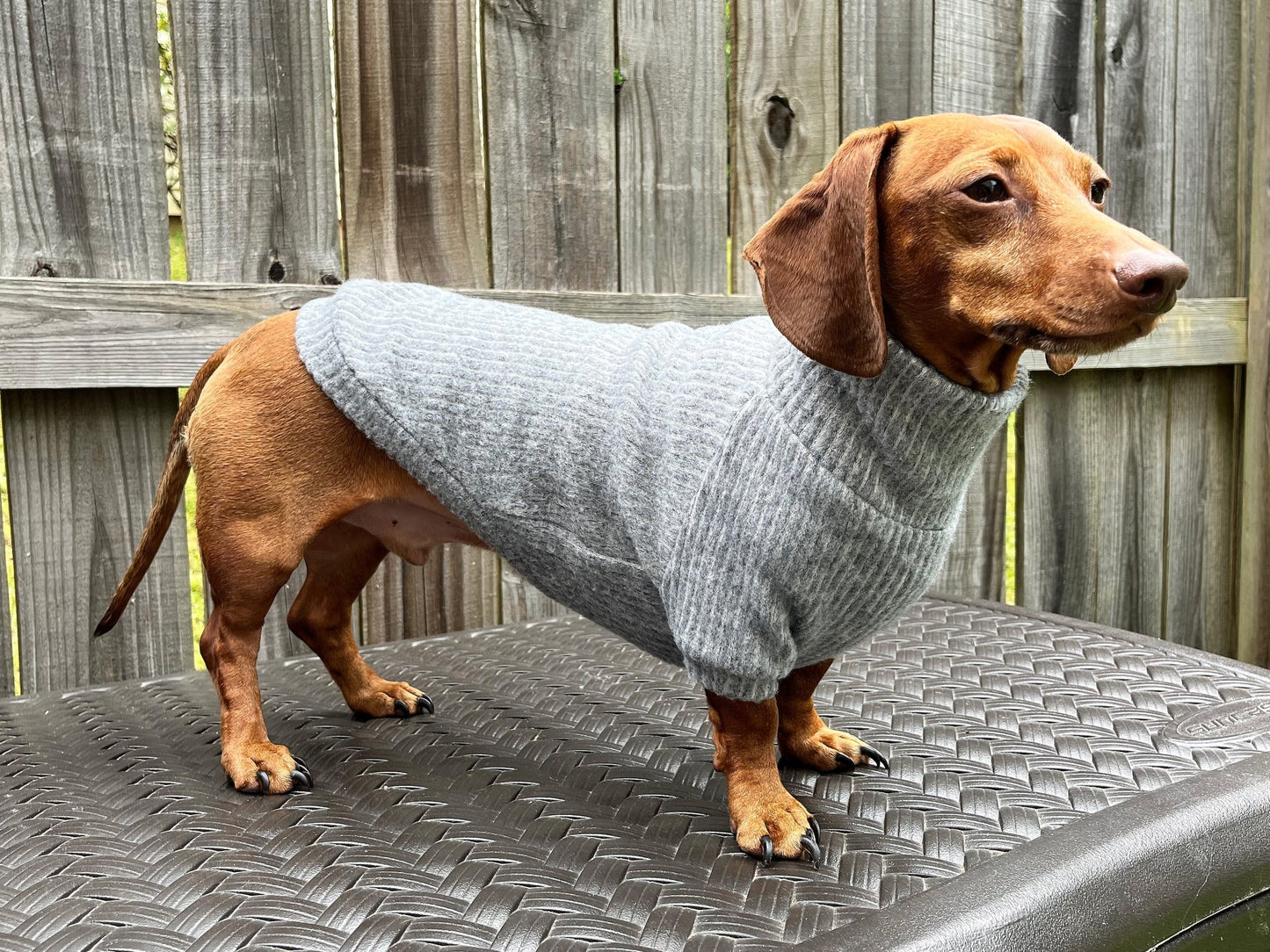 Coal Candy Dachshund Sweater - The American Wiener