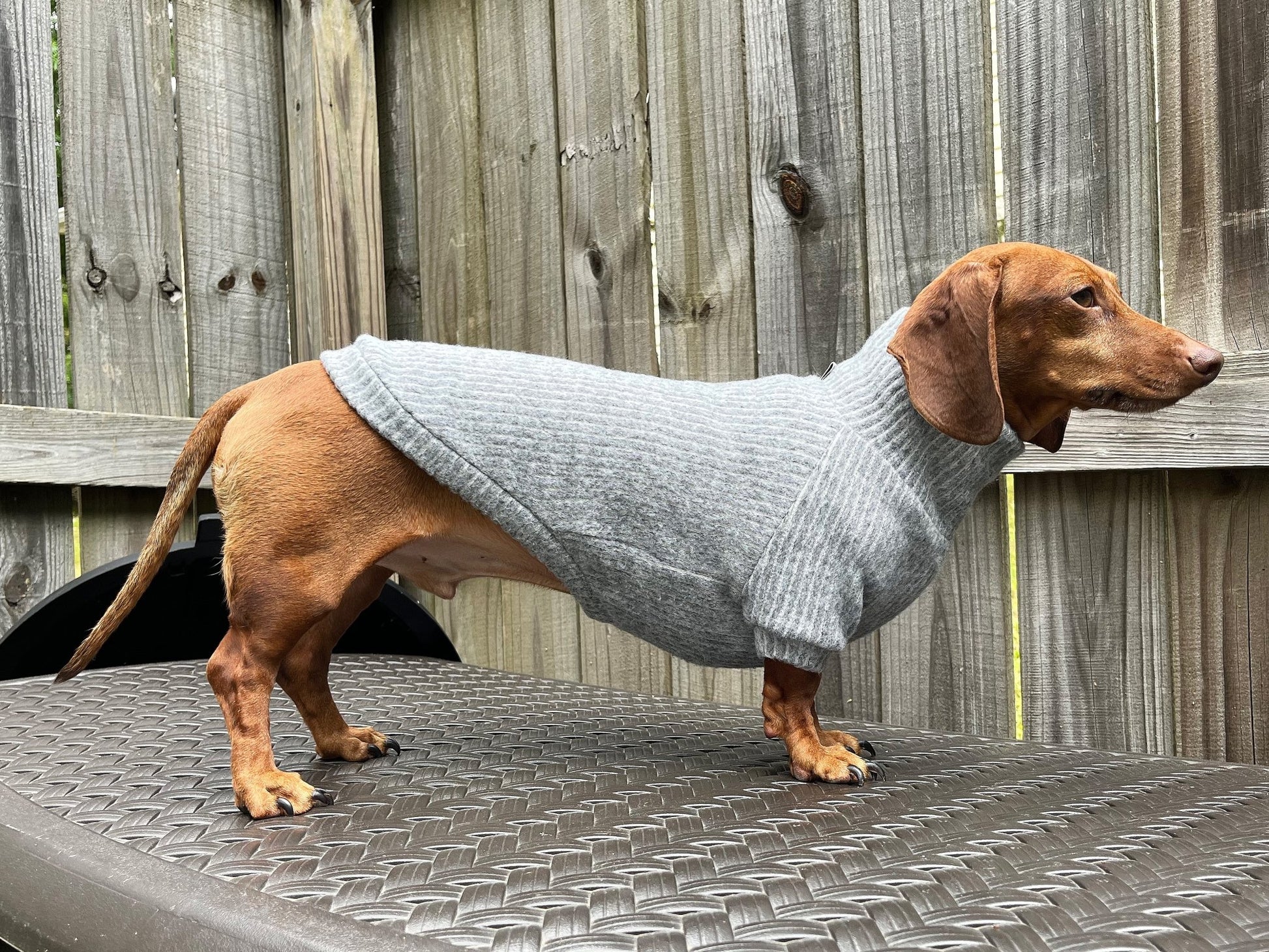 Coal Candy Dachshund Sweater - The American Wiener