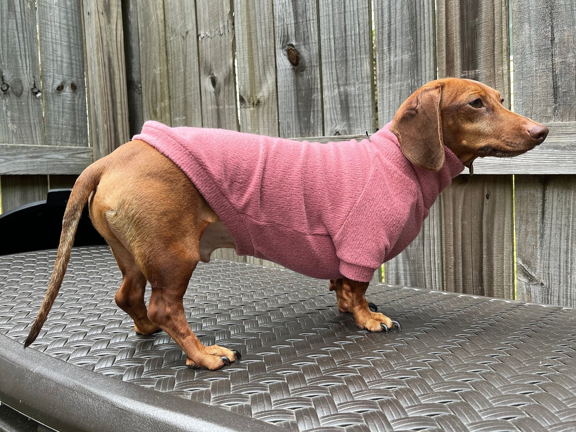 Fiesta Rojo Dachshund Sweater - The American Wiener