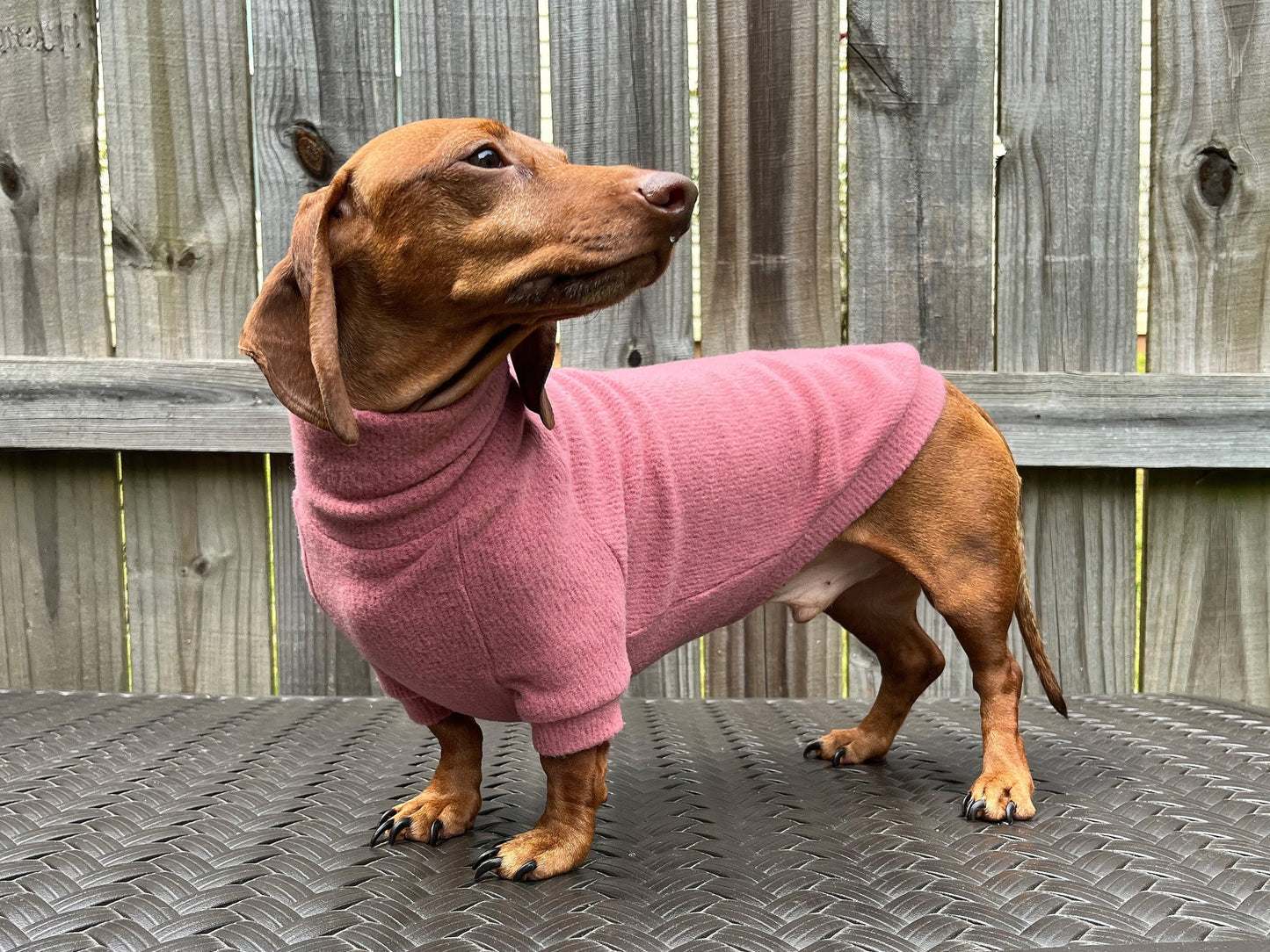 Fiesta Rojo Dachshund Sweater - The American Wiener