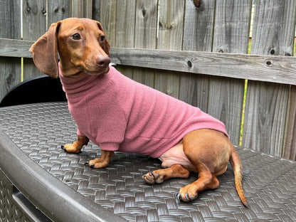 Fiesta Rojo Dachshund Sweater - The American Wiener