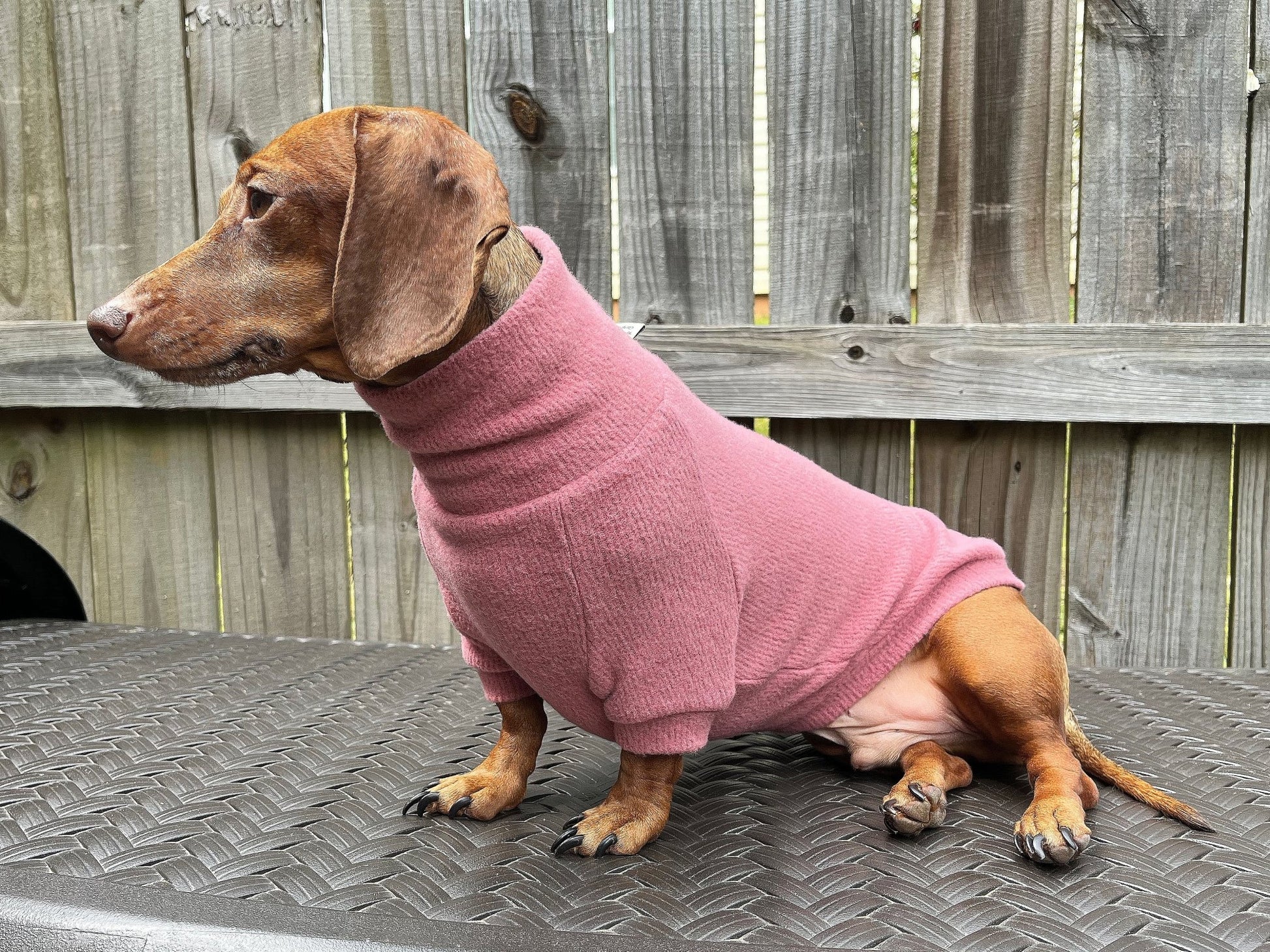 Fiesta Rojo Dachshund Sweater - The American Wiener