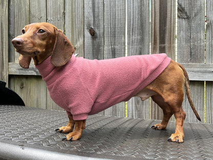 Fiesta Rojo Dachshund Sweater - The American Wiener