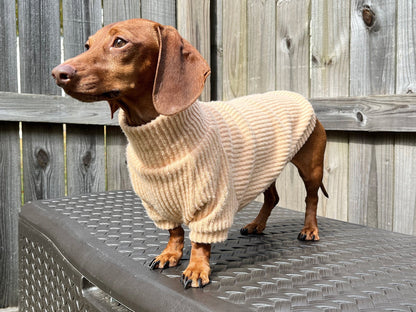 Golden Churro Dachshund Sweater - The American Wiener