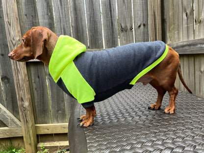 High Voltage Dachshund Hoodie - The American Wiener