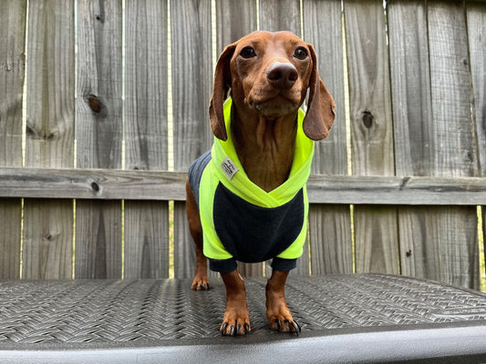 High Voltage Dachshund Hoodie - The American Wiener