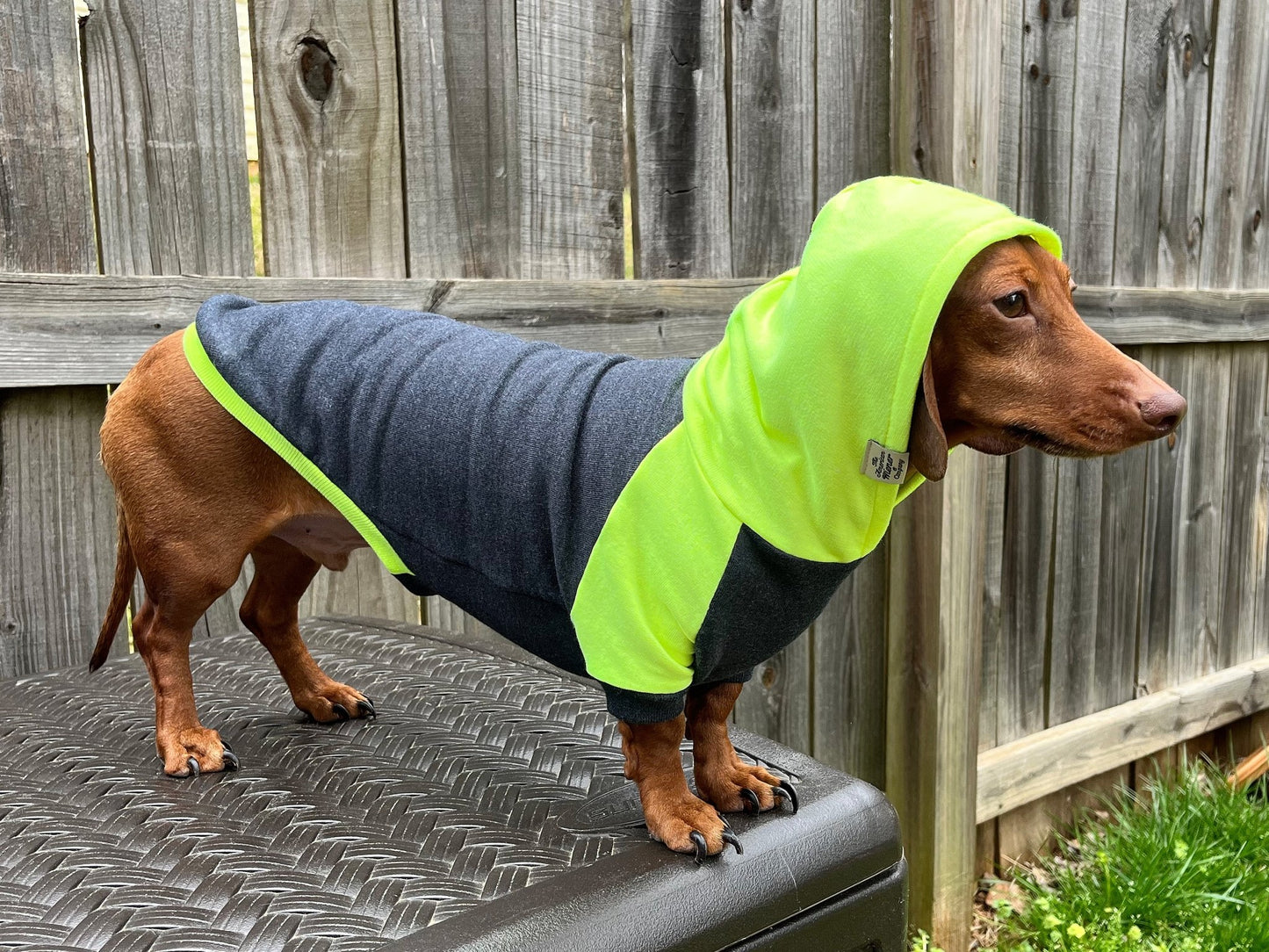 High Voltage Dachshund Hoodie - The American Wiener