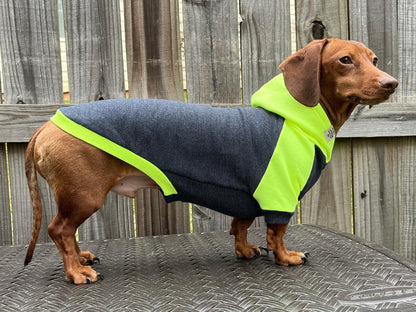 High Voltage Dachshund Hoodie - The American Wiener