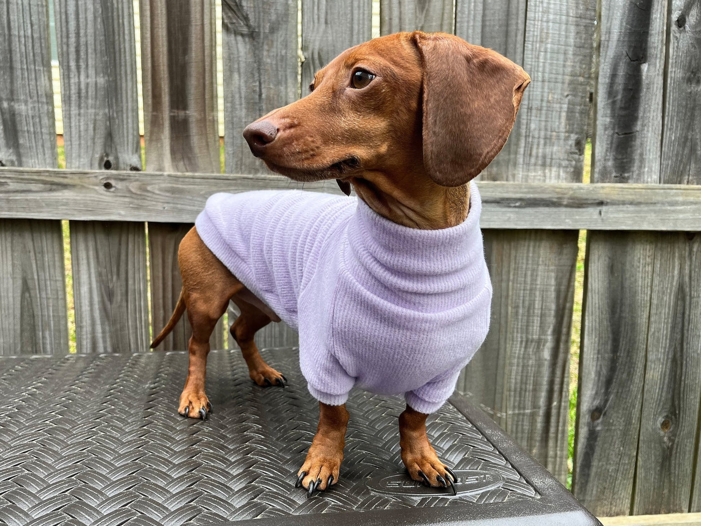 Pretty Petunia Dachshund Sweater - The American Wiener