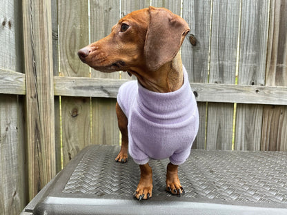 Pretty Petunia Dachshund Sweater - The American Wiener