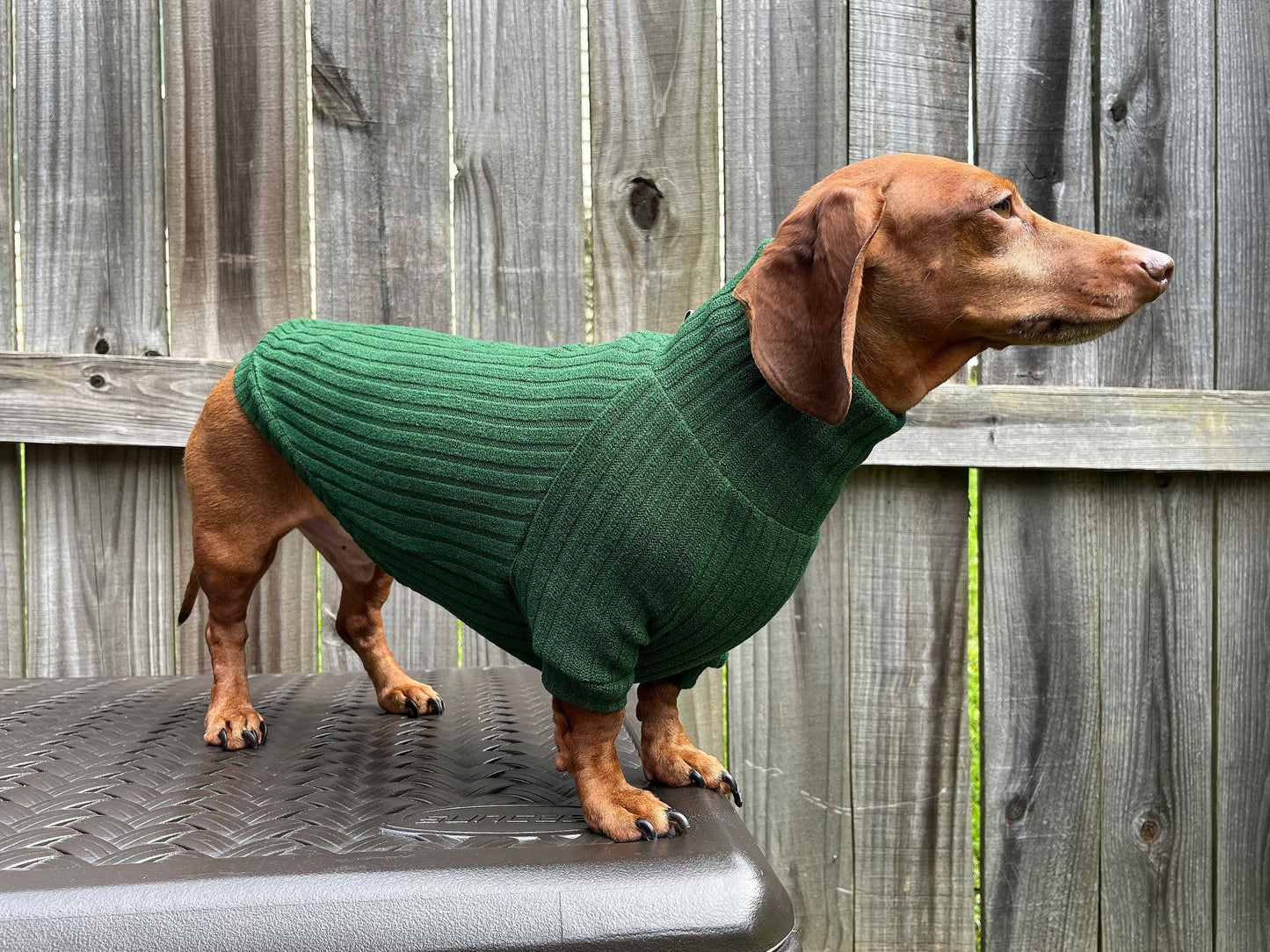 Roasted Poblano Dachshund Sweater - The American Wiener