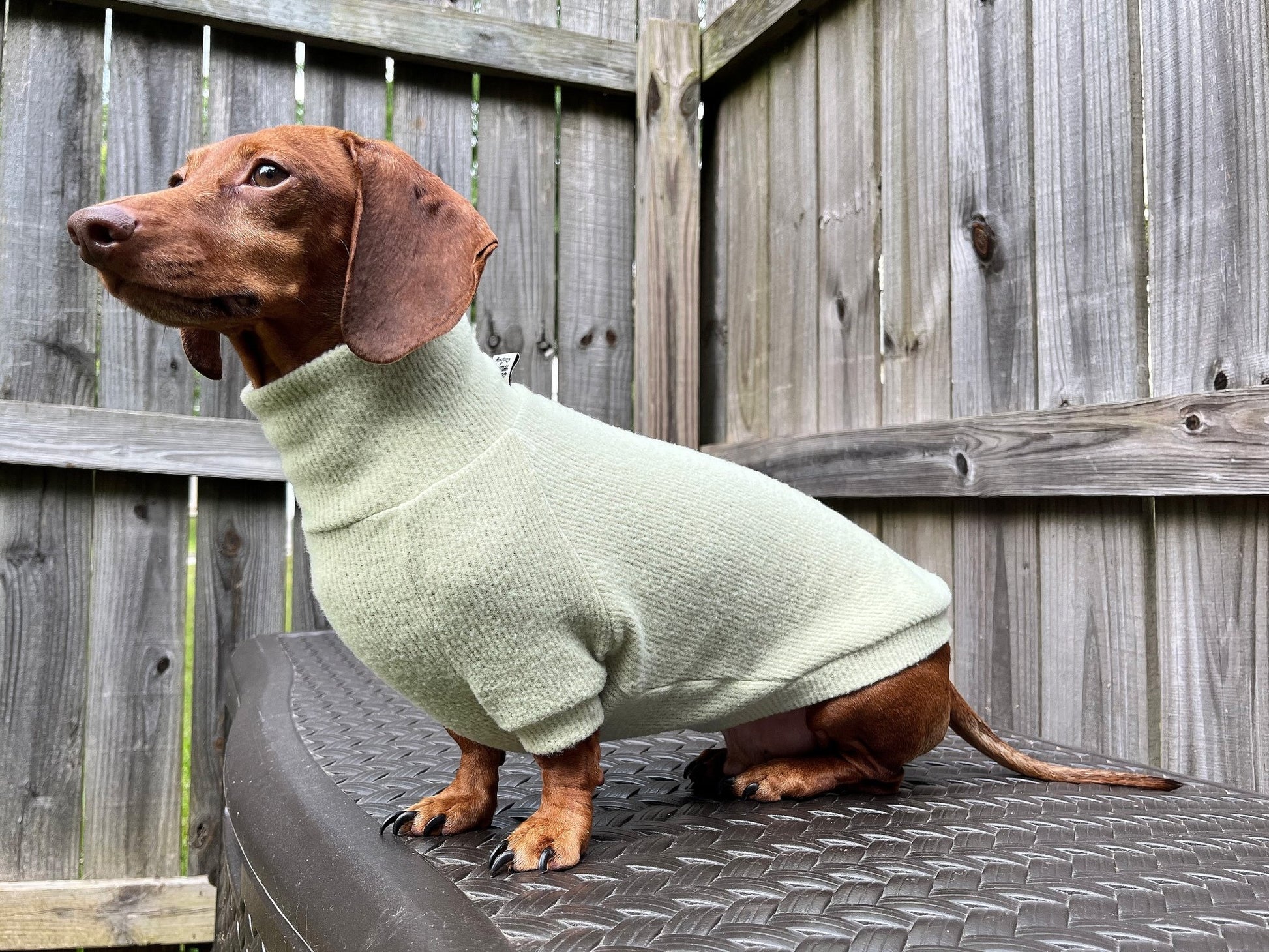 Slime Lime Dachshund Sweater - The American Wiener