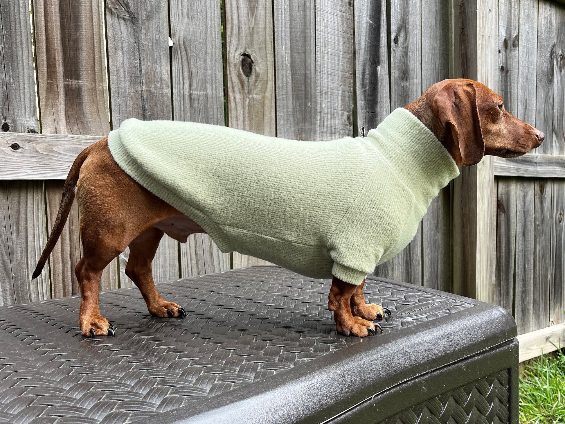 Slime Lime Dachshund Sweater - The American Wiener