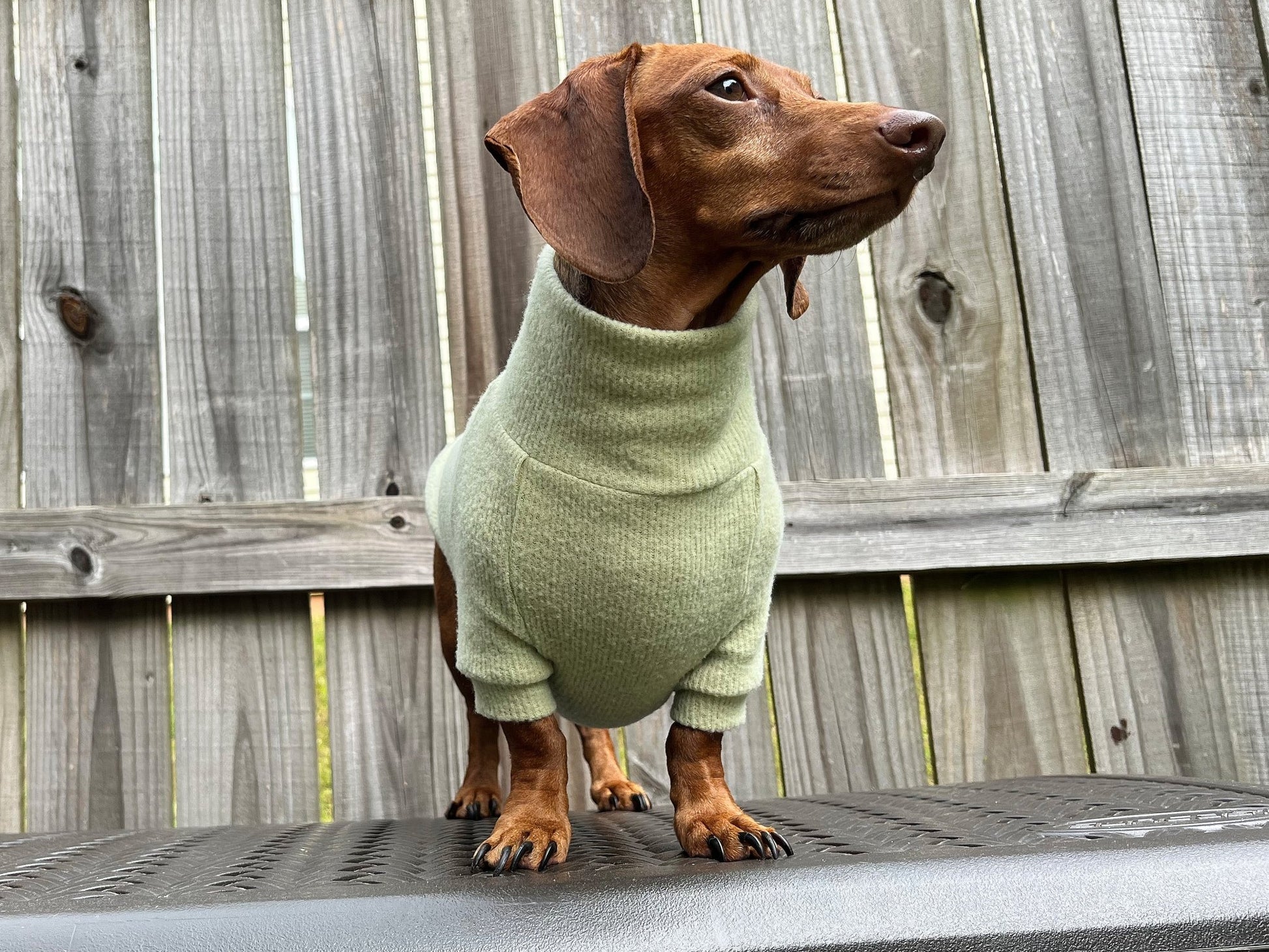 Slime Lime Dachshund Sweater - The American Wiener