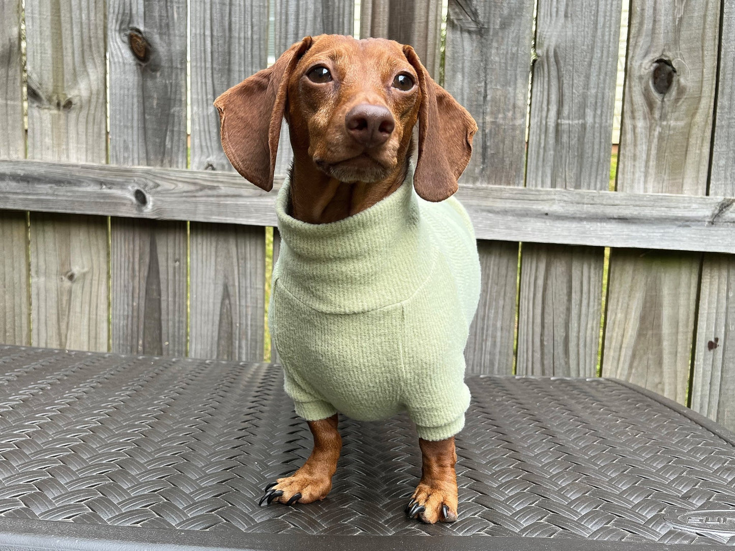 Slime Lime Dachshund Sweater - The American Wiener