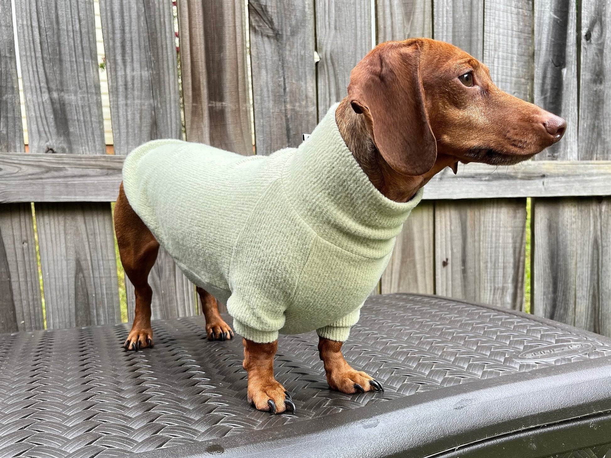 Slime Lime Dachshund Sweater - The American Wiener