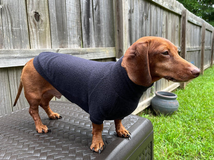 The Black Olive Dachshund Sweater - The American Wiener