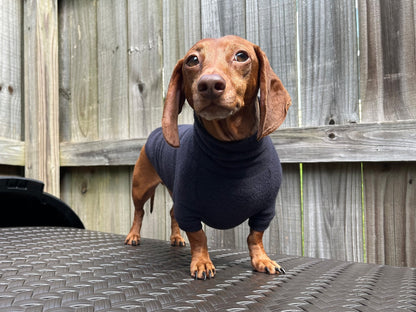 The Black Olive Dachshund Sweater - The American Wiener