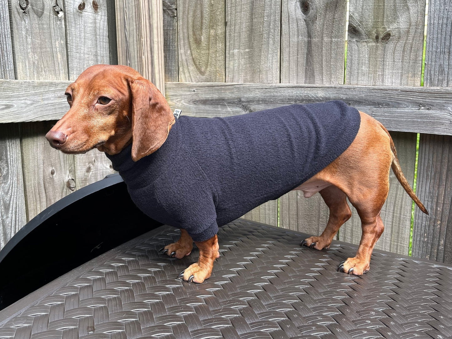 The Black Olive Dachshund Sweater - The American Wiener