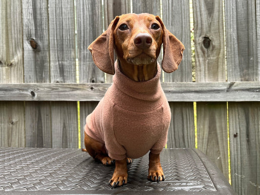 The Puppyccino Dachshund Sweater - The American Wiener