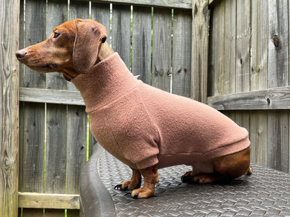 The Puppyccino Dachshund Sweater - The American Wiener