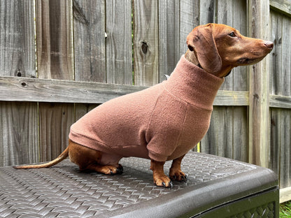 The Puppyccino Dachshund Sweater - The American Wiener