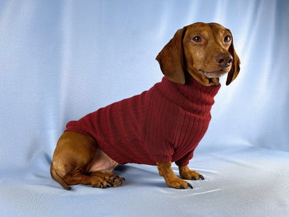 Vino Tinto Dachshund Sweater - The American Wiener