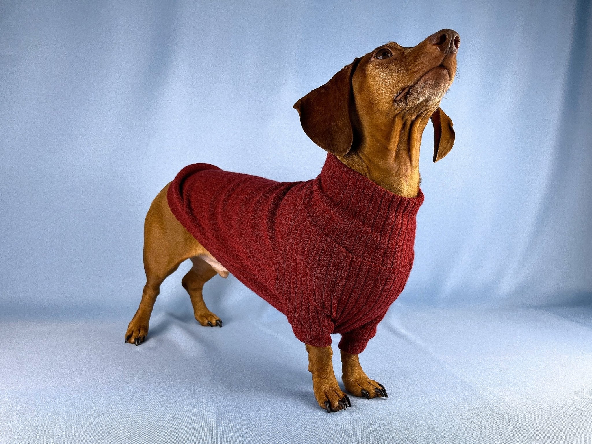 Lands end dachshund sweater hotsell