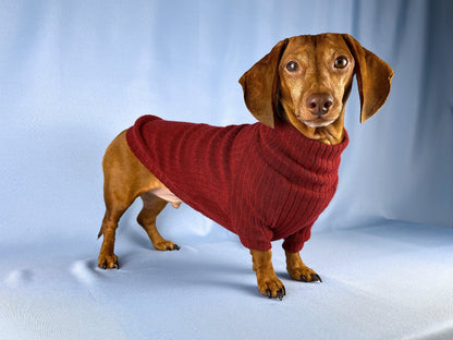 Vino Tinto Dachshund Sweater - The American Wiener